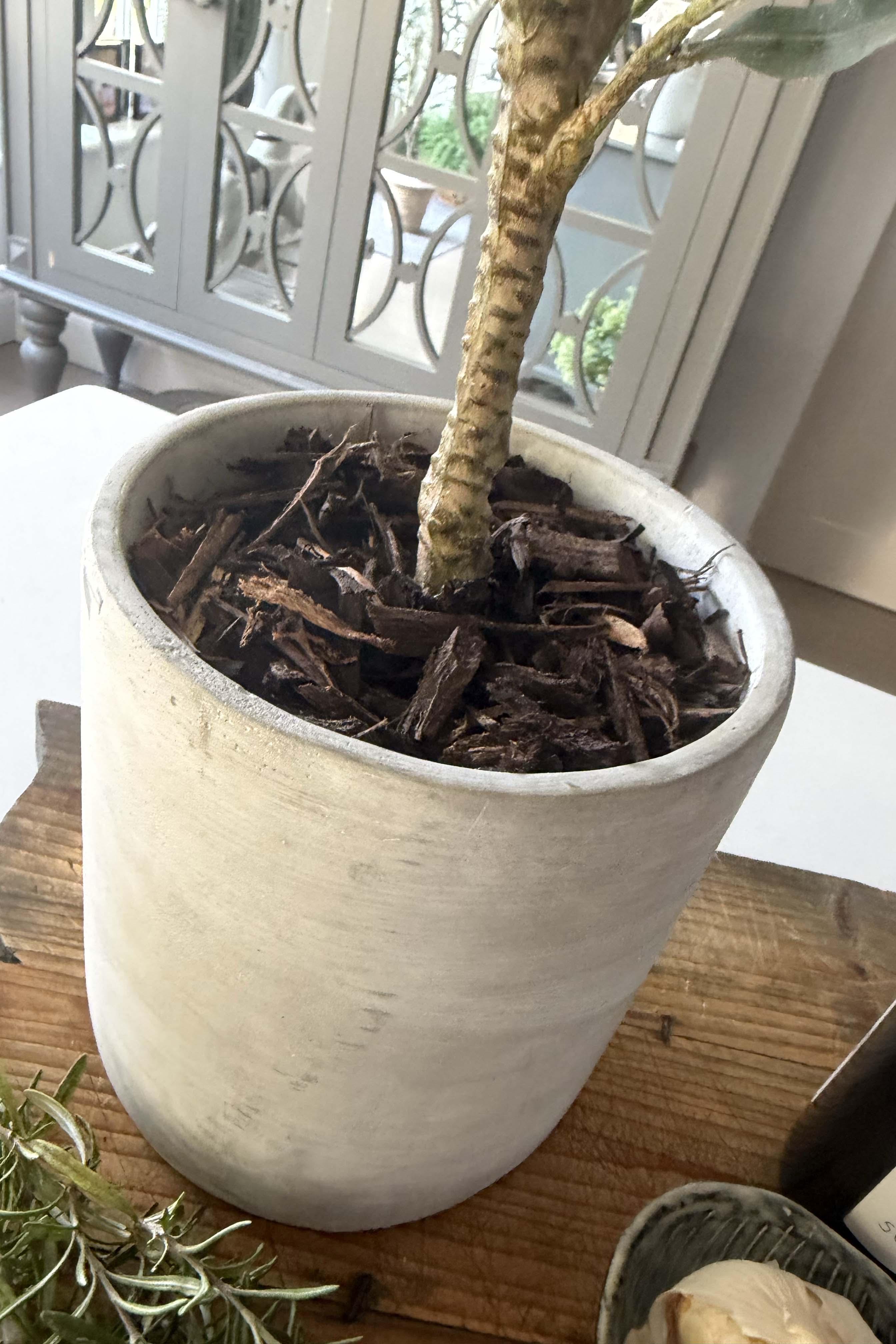 Olive Tree in a Grey Stone Pot RTfact Flowers 