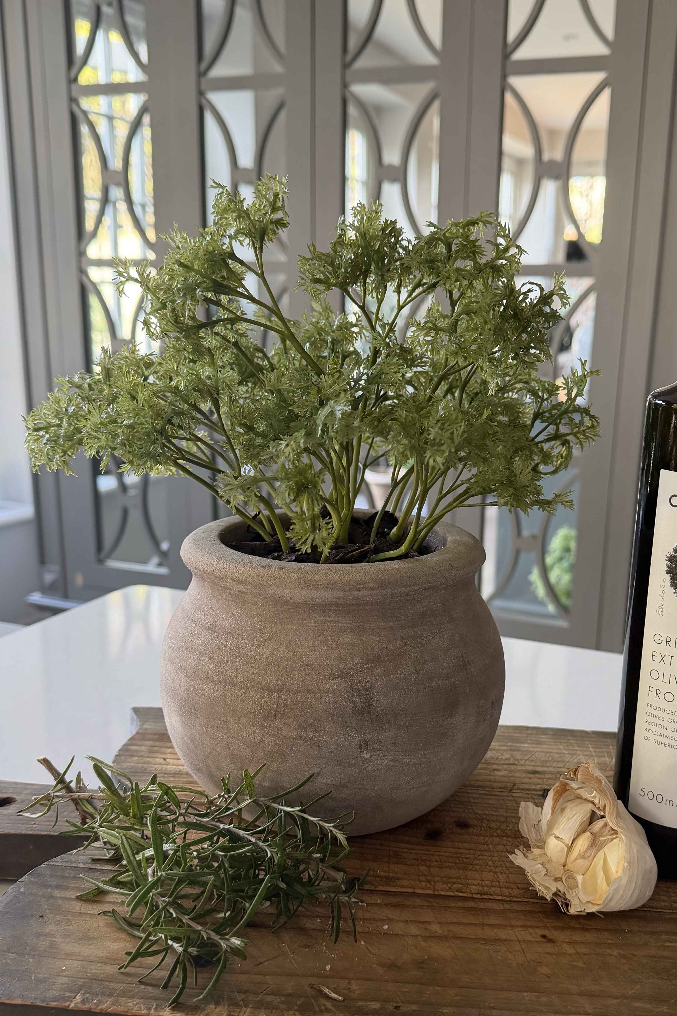 Parsley in a Terracotta Pot RTfact Flowers 