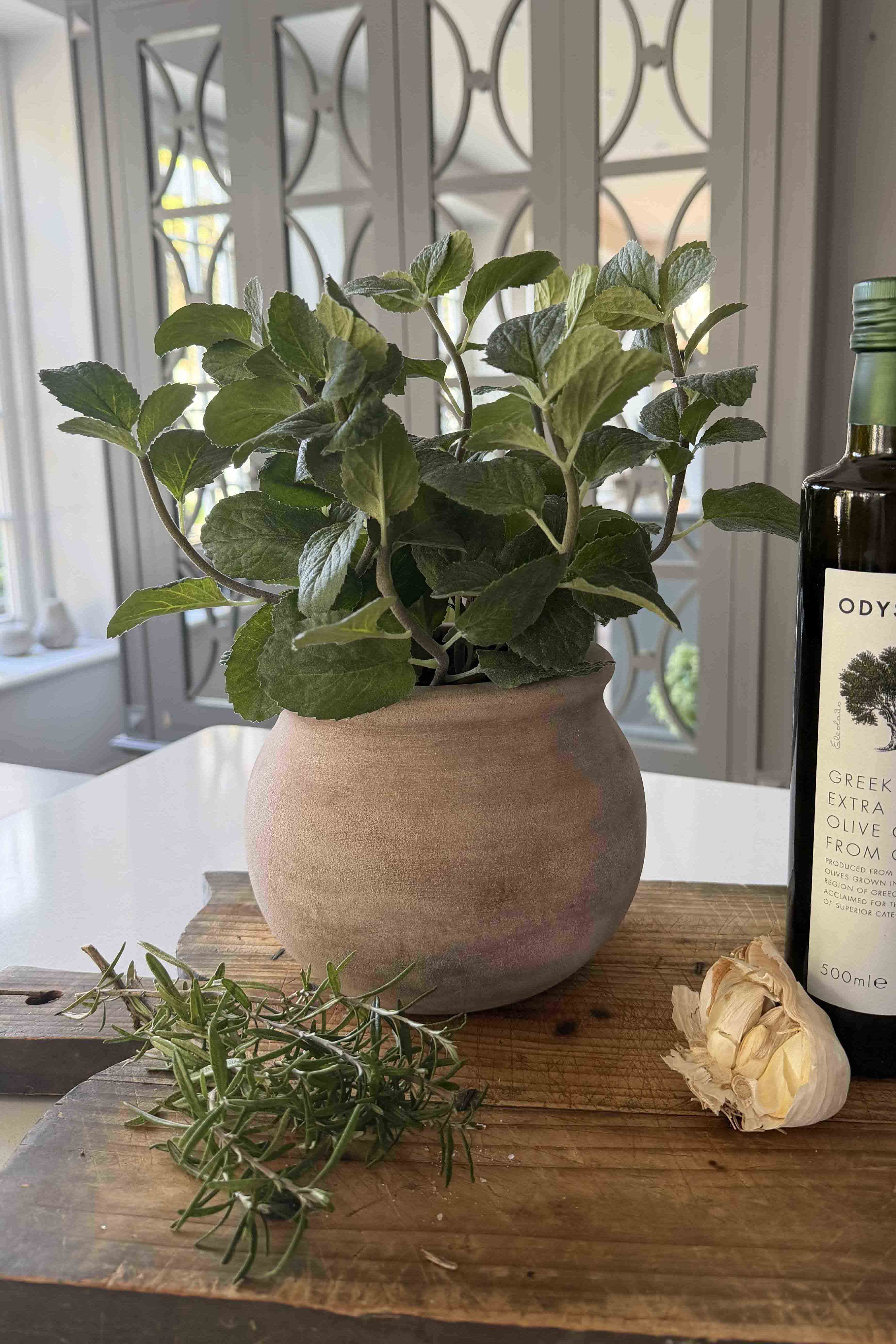 Mint in a Terracotta Pot RTfact Flowers 