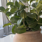 Mint in a Terracotta Pot RTfact Flowers 
