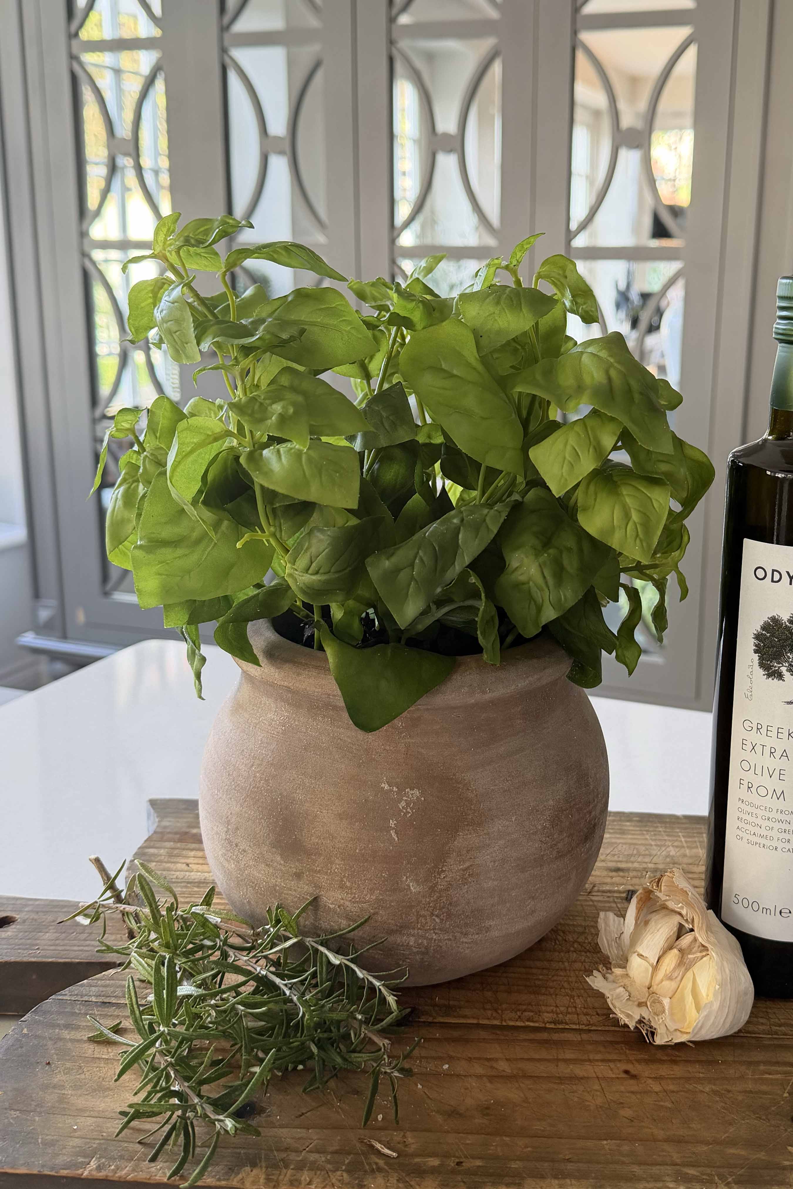 Basil in a Terracotta Pot RTfact Flowers 