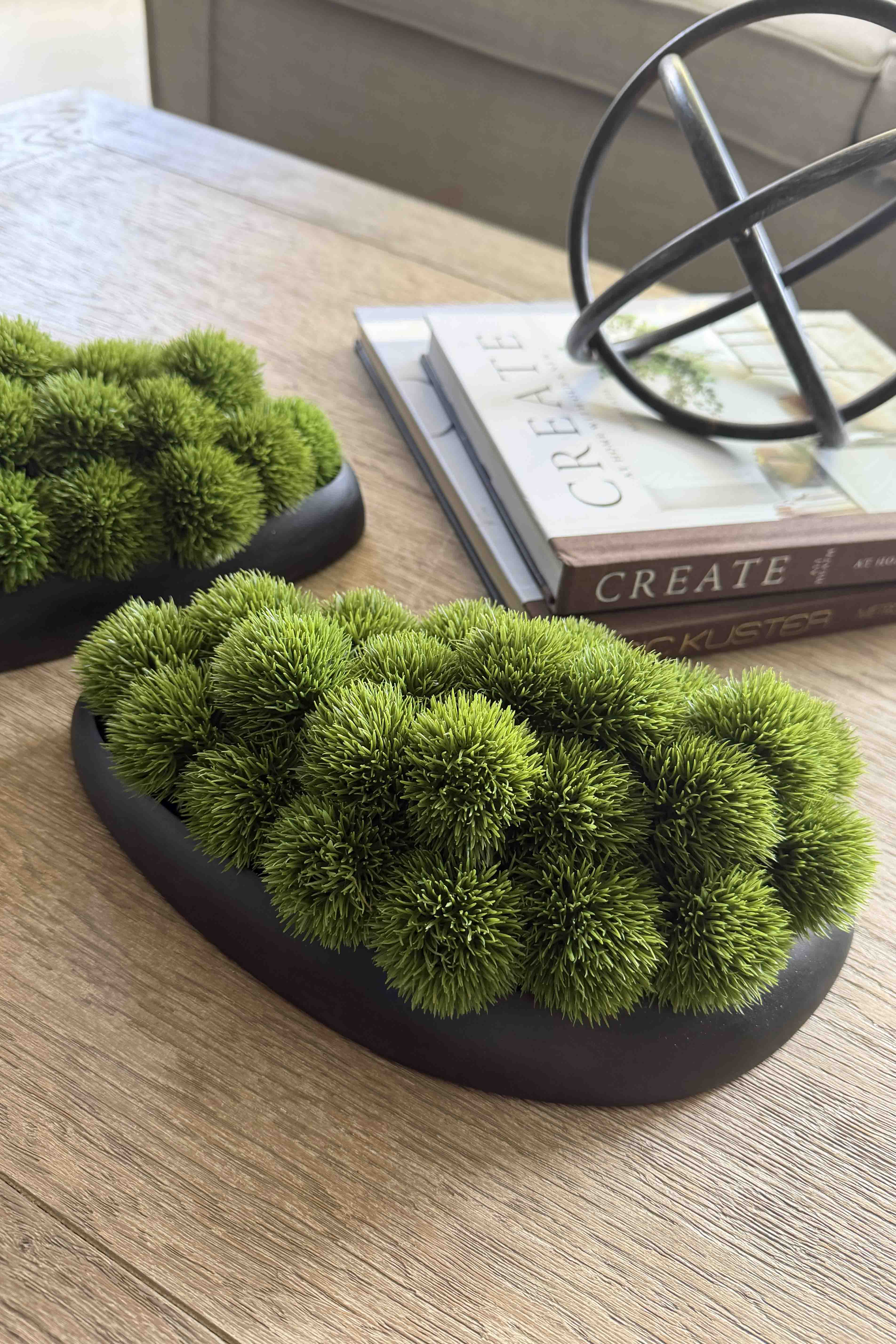 Dianthus in a Black Dish RTfact Flowers 