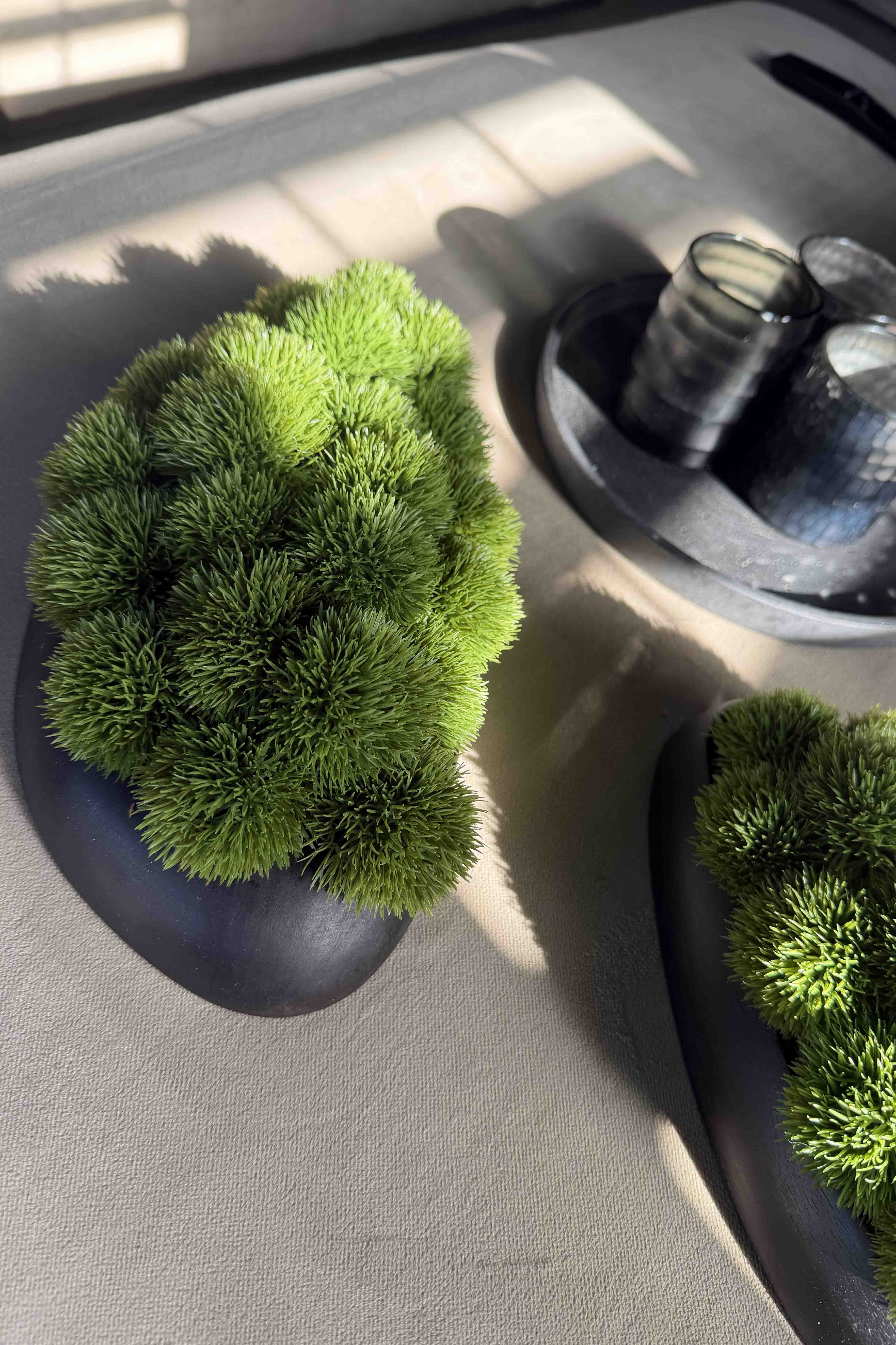 Dianthus in a Black Dish RTfact Flowers 