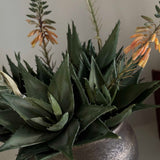 Red Hot Poker in a Bronze Pot RTfact Flowers 