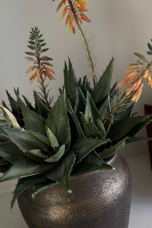 Red Hot Poker in a Bronze Pot RTfact Flowers 