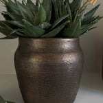 Red Hot Poker in a Bronze Pot RTfact Flowers 