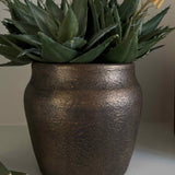 Red Hot Poker in a Bronze Pot RTfact Flowers 