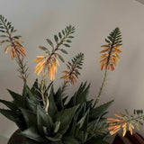 Red Hot Poker in a Bronze Pot RTfact Flowers 