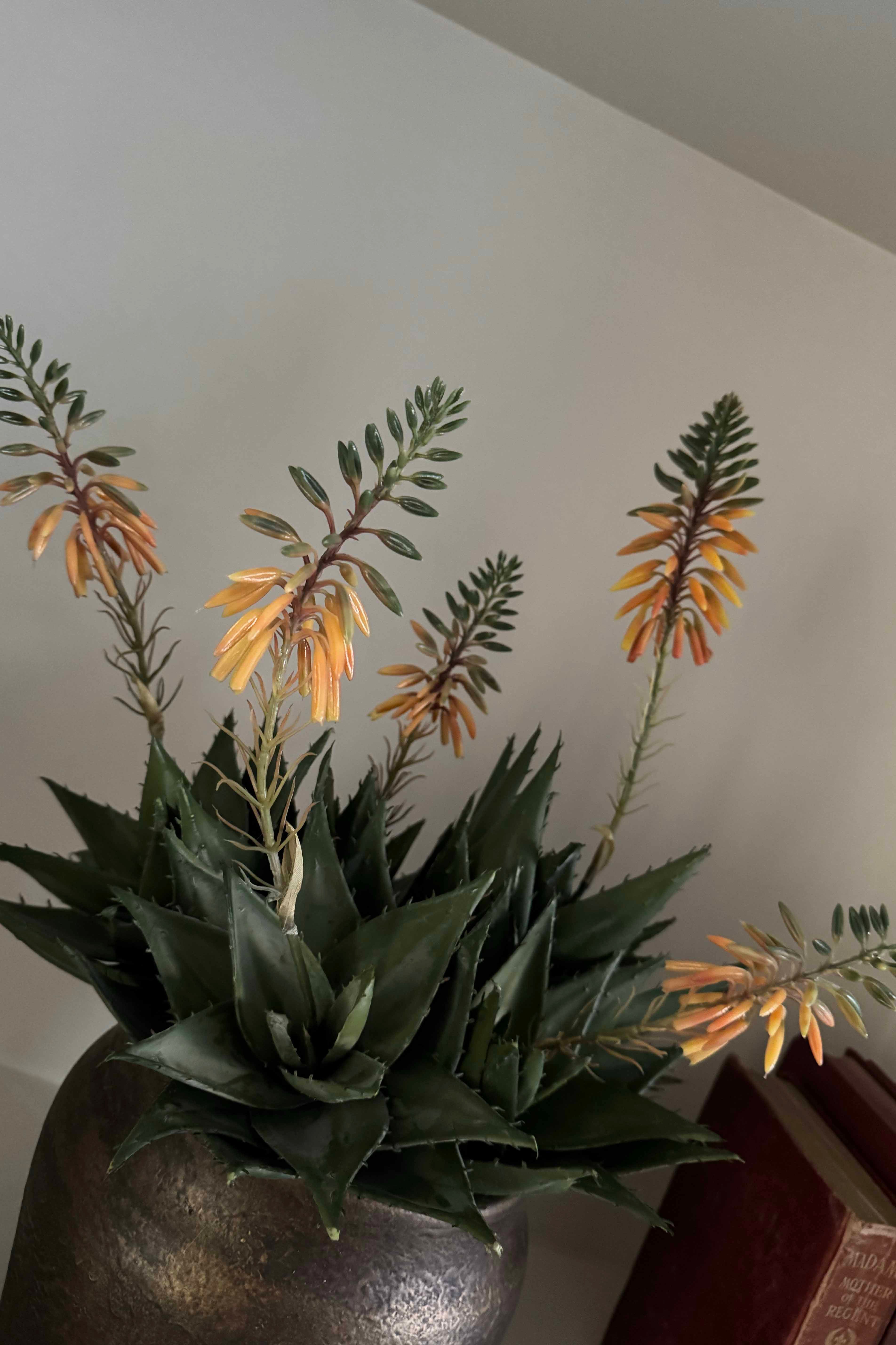 Red Hot Poker in a Bronze Pot RTfact Flowers 