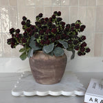 Mulberry in a Terracotta Pot RTfact Flowers 