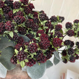 Mulberry in a Terracotta Pot RTfact Flowers 