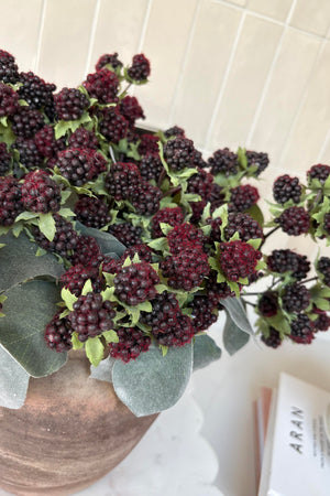Mulberry in a Terracotta Pot RTfact Flowers 