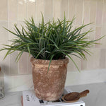Sword Grass in a Terracotta Pot RTfact Flowers 