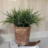 Sword Grass in a Terracotta Pot RTfact Flowers 