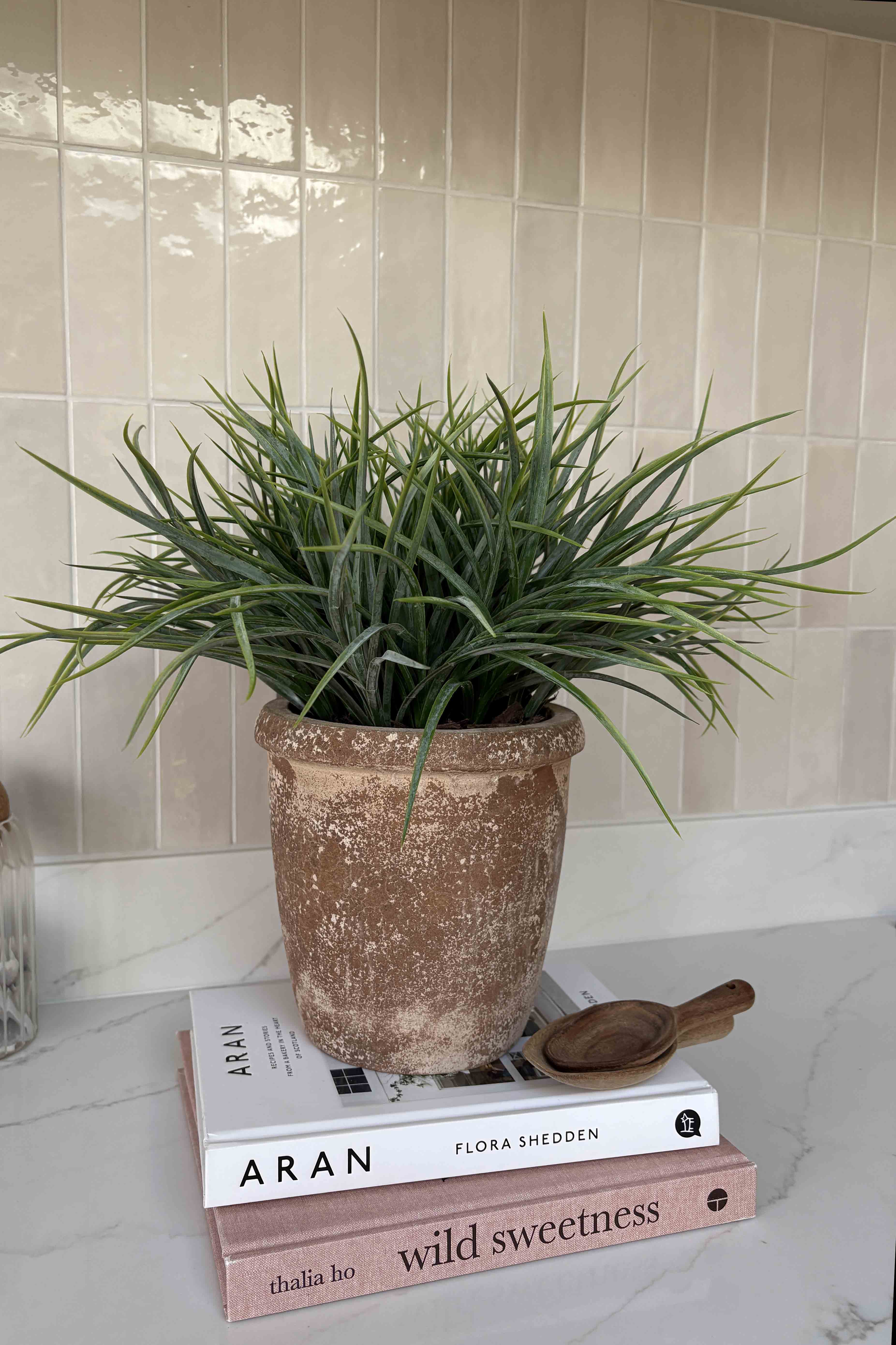 Sword Grass in a Terracotta Pot RTfact Flowers 