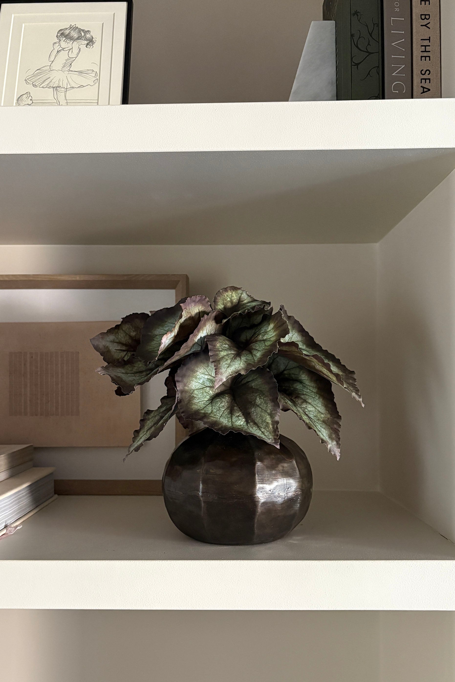 Begonia Bush in a Bronze Ridged Pot RTfact Flowers 