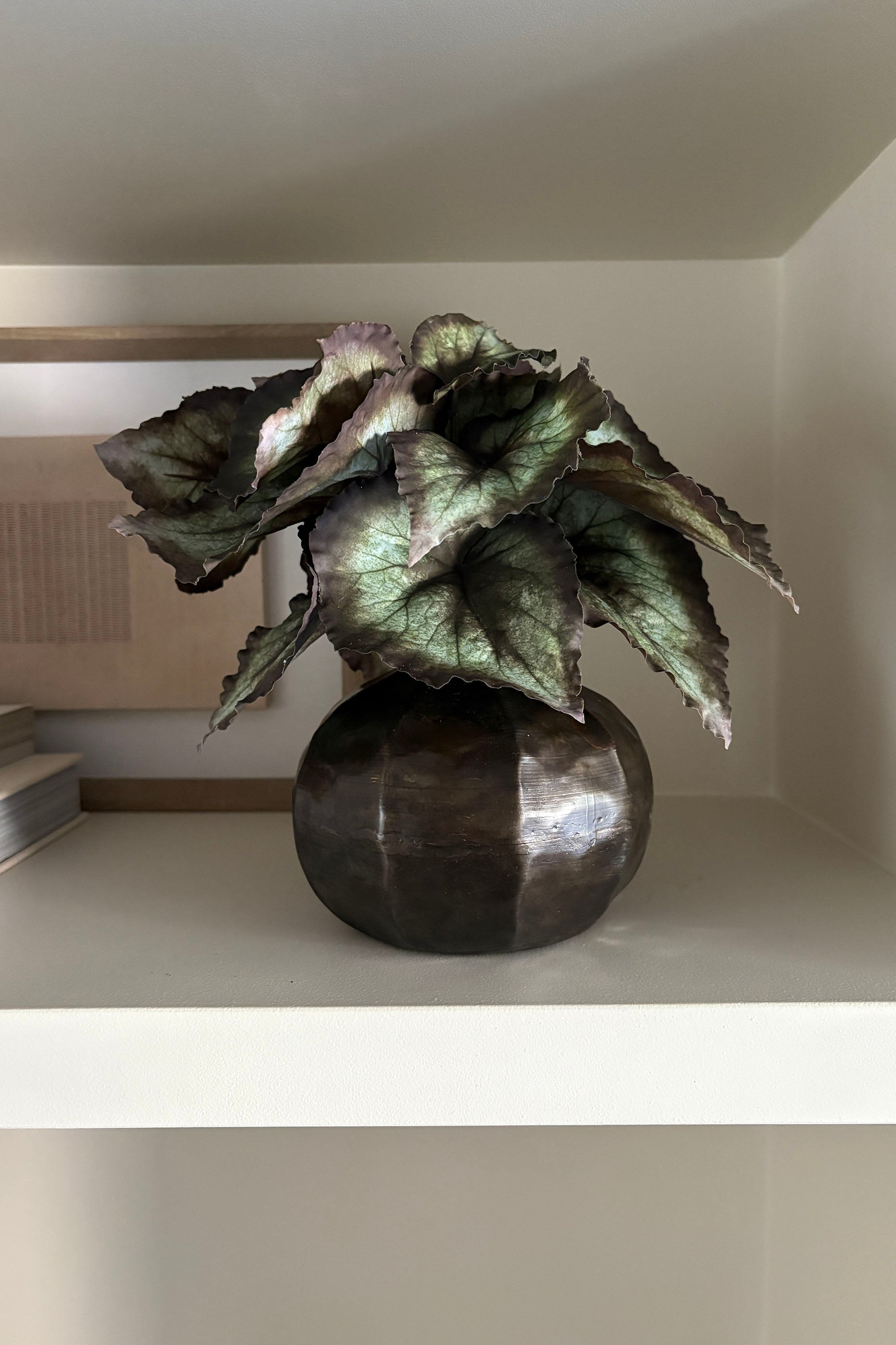 Begonia Bush in a Bronze Ridged Pot RTfact Flowers 