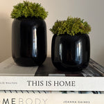 Curly Moss in a Black Glass Vase (short) RTfact Flowers 
