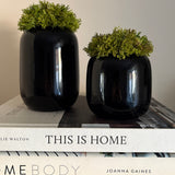 Curly Moss in a Black Glass Vase (short) RTfact Flowers 