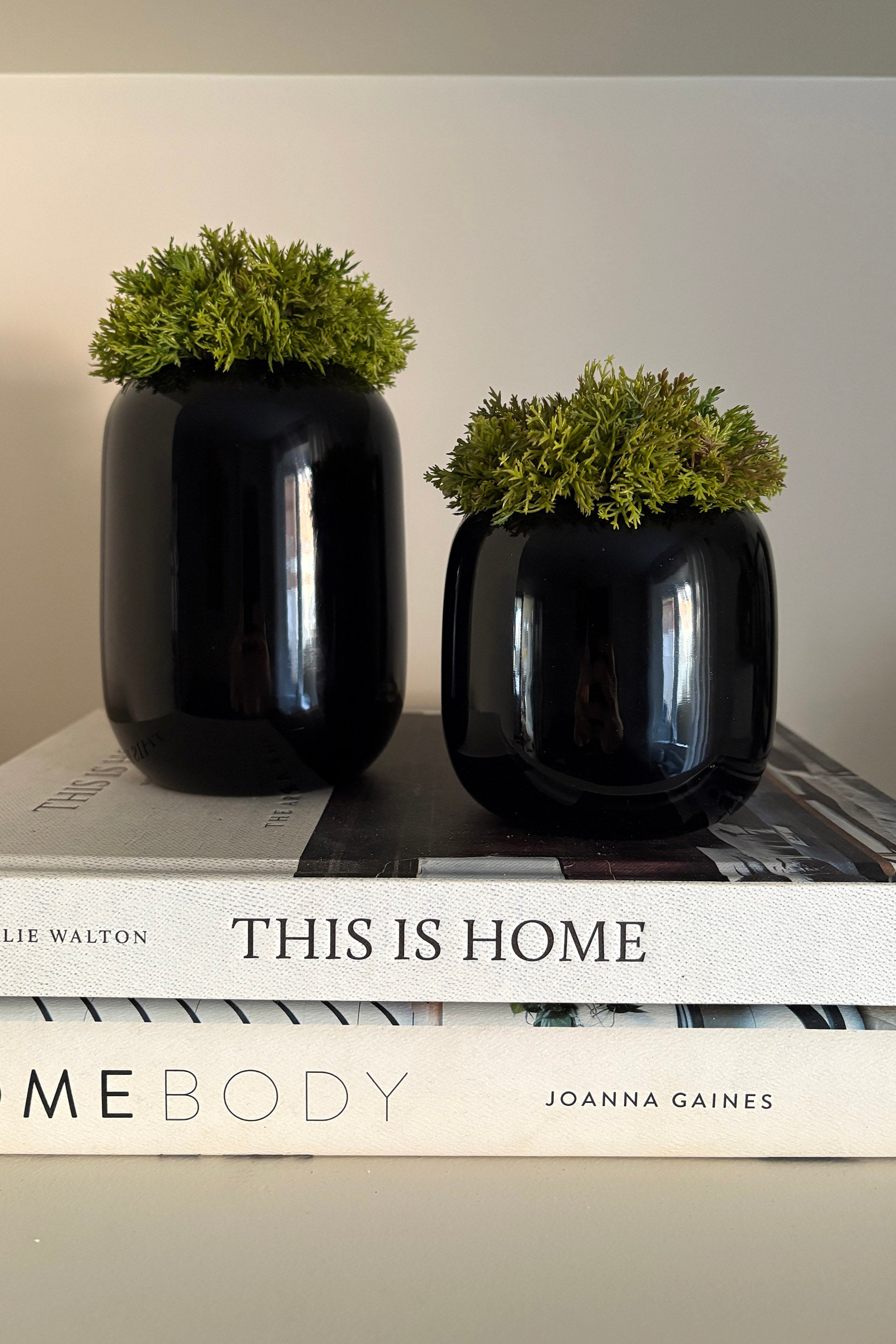 Curly Moss in a Black Glass Vase (short) RTfact Flowers 