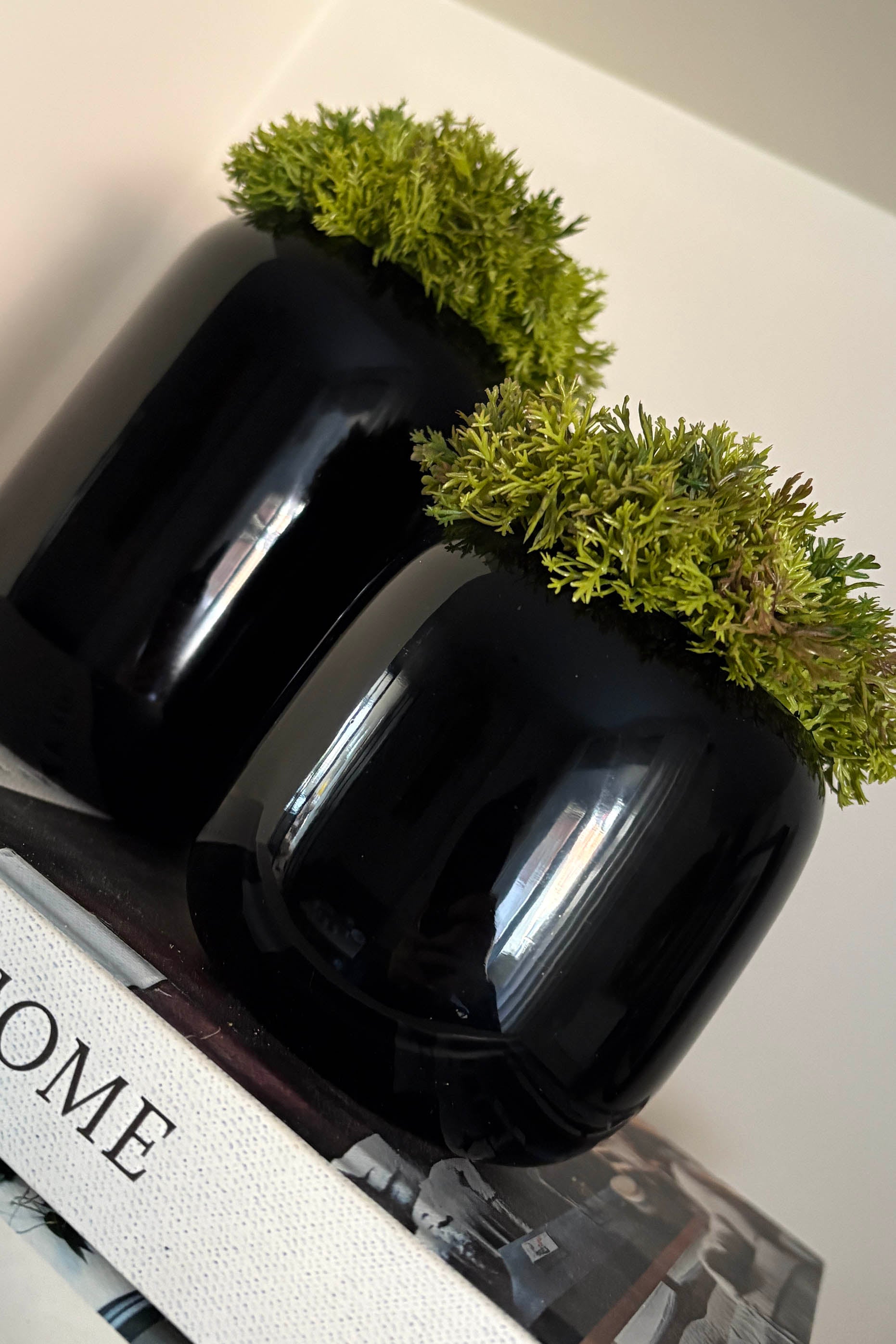 Curly Moss in a Black Glass Vase (short) RTfact Flowers 