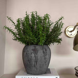 Rosemary in a Grey Stone Pot RTfact Flowers 