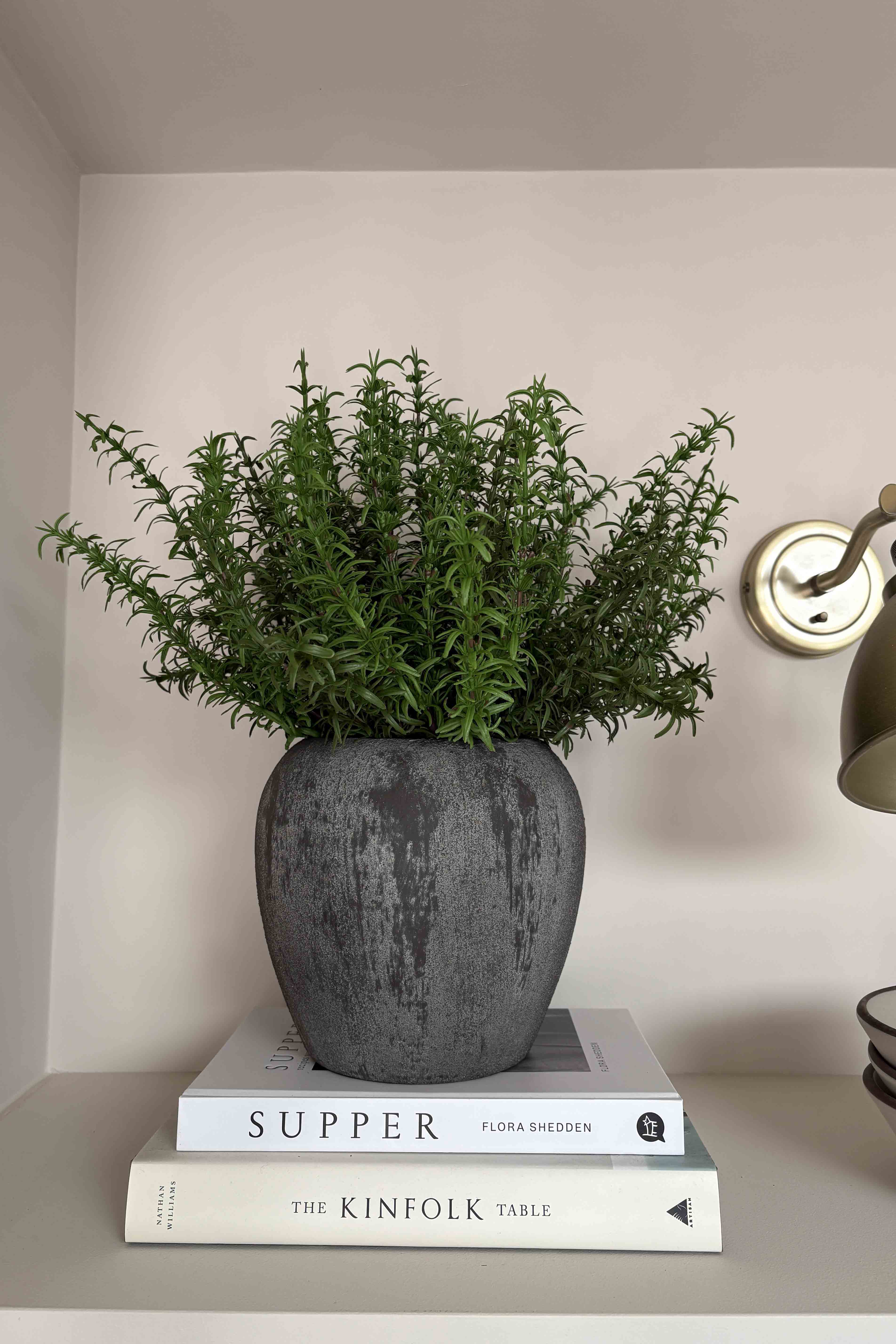 Rosemary in a Grey Stone Pot RTfact Flowers 