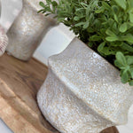 Tea Bush in a White Stone Vase (short) RTfact Flowers 