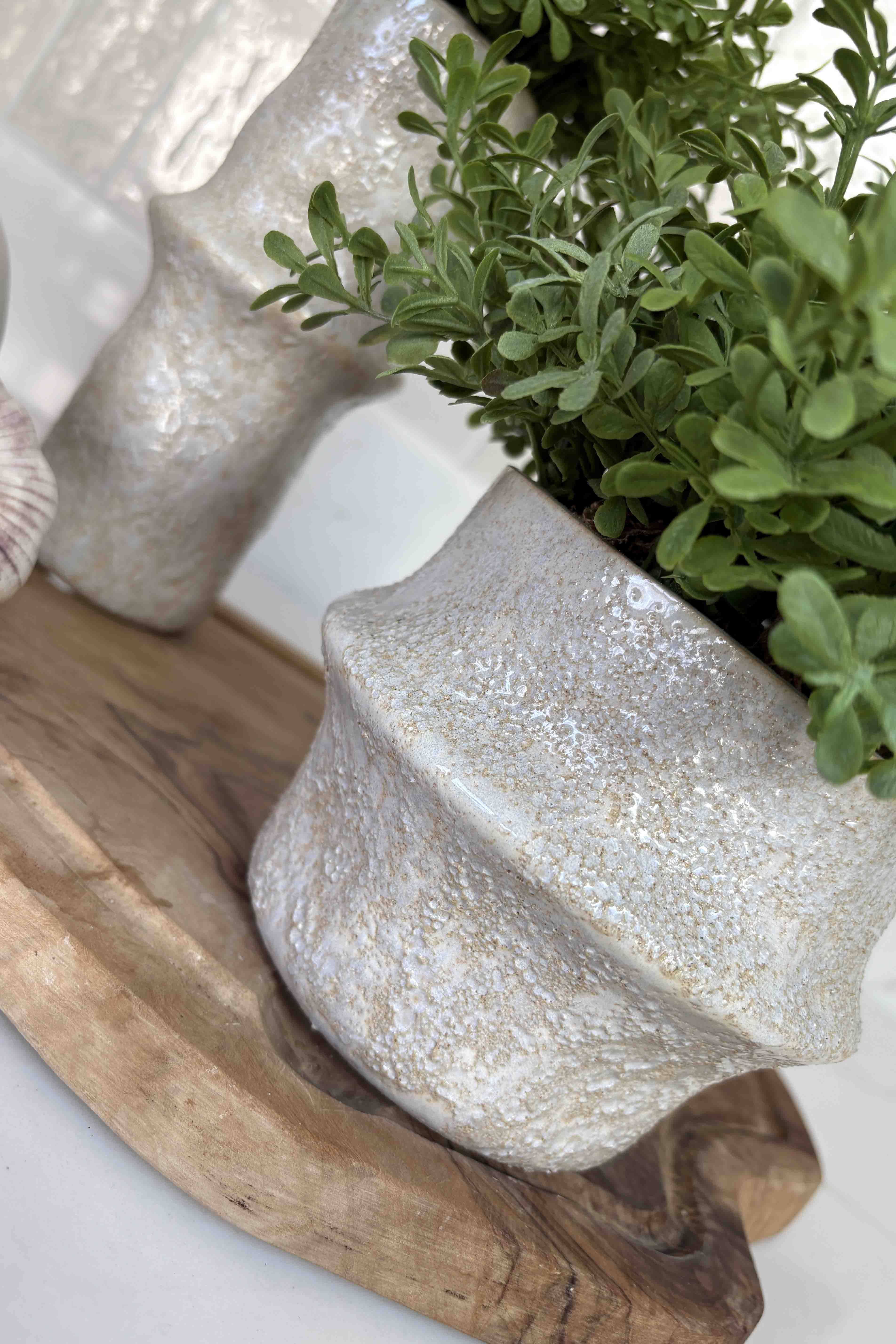 Tea Bush in a White Stone Vase (short) RTfact Flowers 