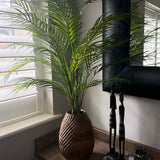 Areca Palm in a Warm Wooden Pot