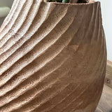 Areca Palm in a Warm Wooden Pot