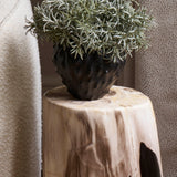 Podocarpus Bush in a Textured Black Vase Rtfact Flowers 