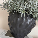Podocarpus Bush in a Textured Black Vase Rtfact Flowers 