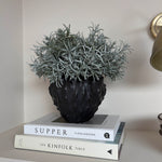 Podocarpus Bush in a Textured Black Vase Rtfact Flowers 