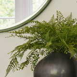 Maidenhair and Asparagus Fern in a Charcoal Stone Pot