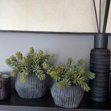 Mini Spiky Succulents in a Ridged Taupe Frosted Vase
