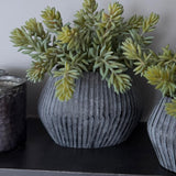 Mini Spiky Succulents in a Ridged Taupe Frosted Vase