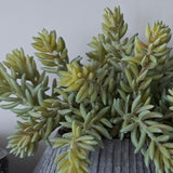Mini Spiky Succulents in a Ridged Taupe Frosted Vase