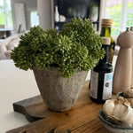 Angelica in a Rustic Stone Pot RTfact Flowers 