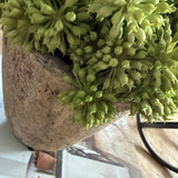 Angelica in a Rustic Stone Pot RTfact Flowers 