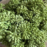 Angelica in a Rustic Stone Pot RTfact Flowers 