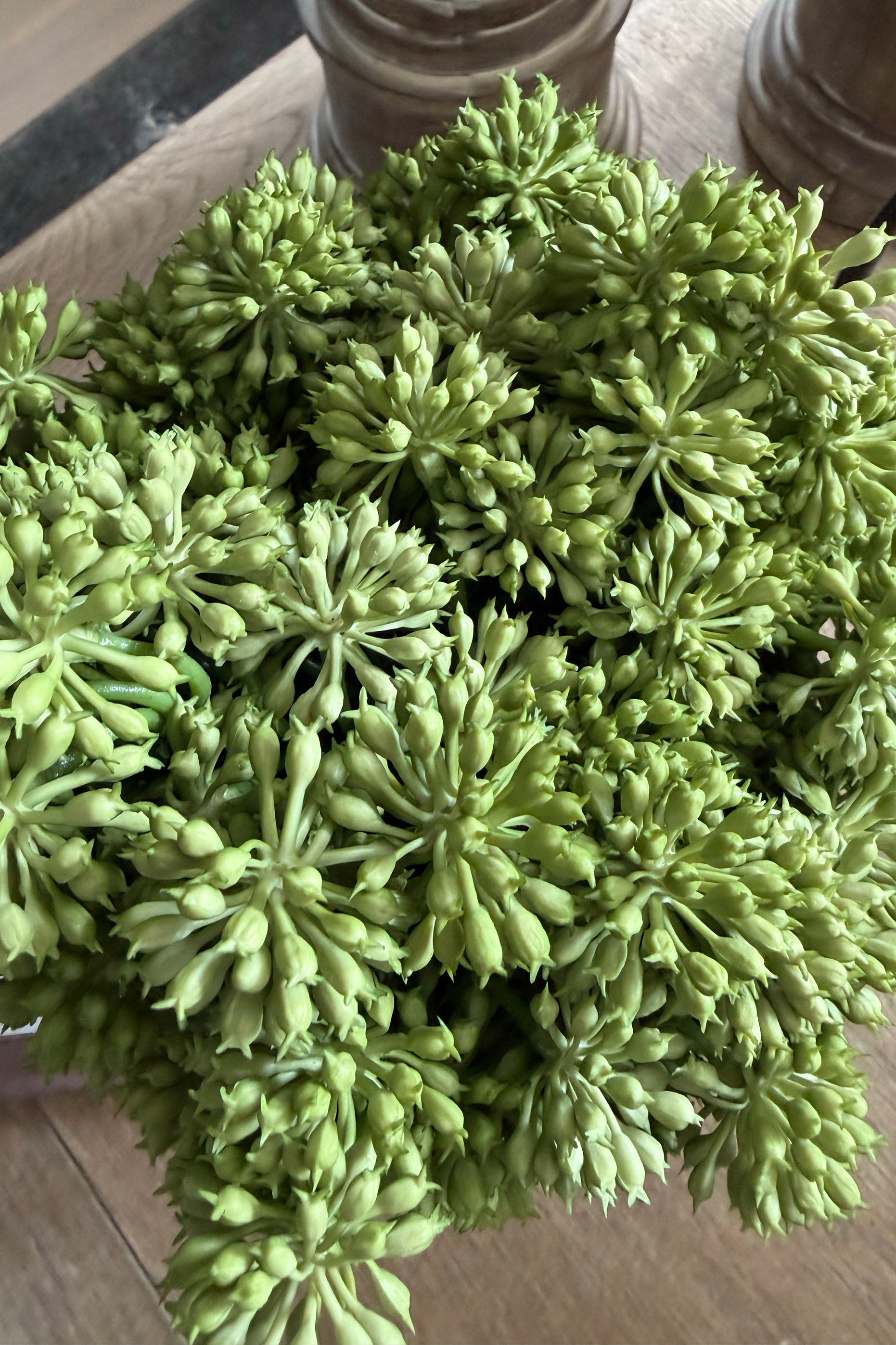 Angelica in a Rustic Stone Pot RTfact Flowers 