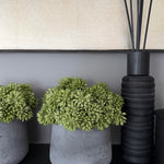 Angelica  in a Grey Stone Vase RTFact Flowers 