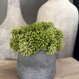 Angelica  in a Grey Stone Vase RTFact Flowers 