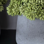 Angelica  in a Grey Stone Vase RTFact Flowers 