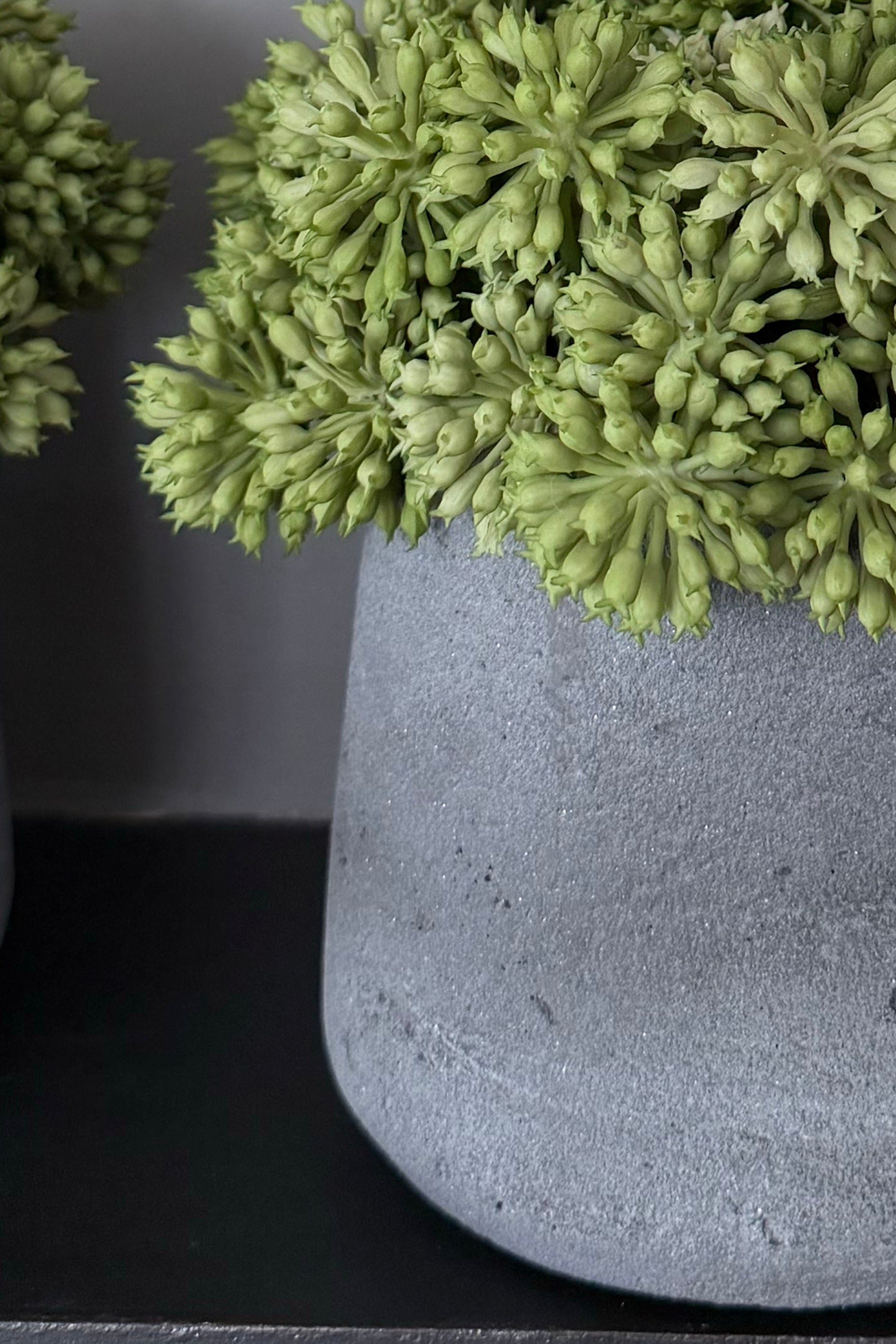 Angelica  in a Grey Stone Vase RTFact Flowers 