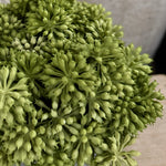 Angelica  in a Grey Stone Vase RTFact Flowers 