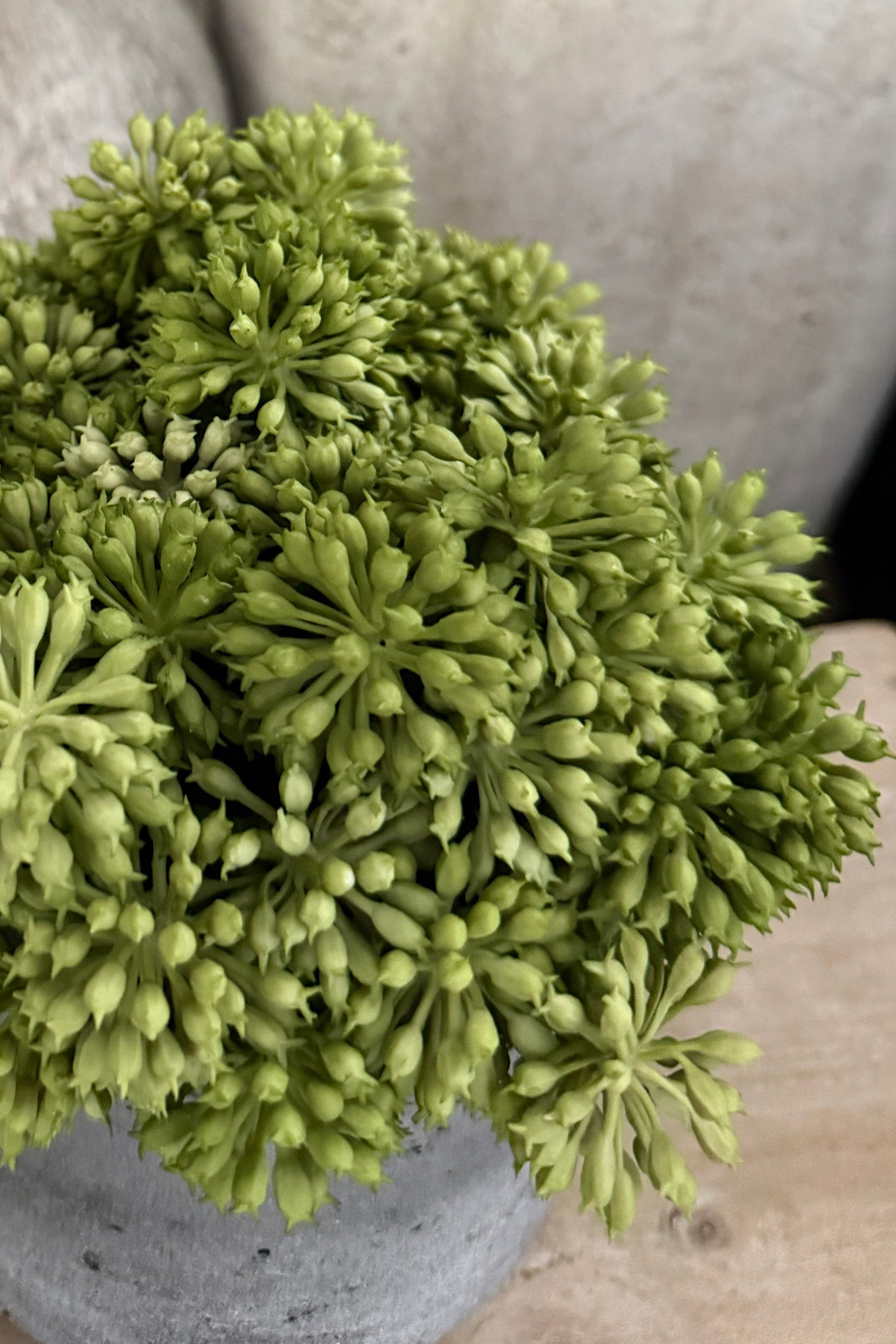 Angelica  in a Grey Stone Vase RTFact Flowers 