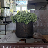 Angelica  in a Hand-painted Bronze Stone Vase