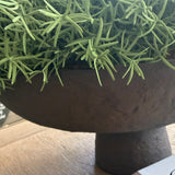 Vanilla Bush in a Brown Metal Footed Bowl